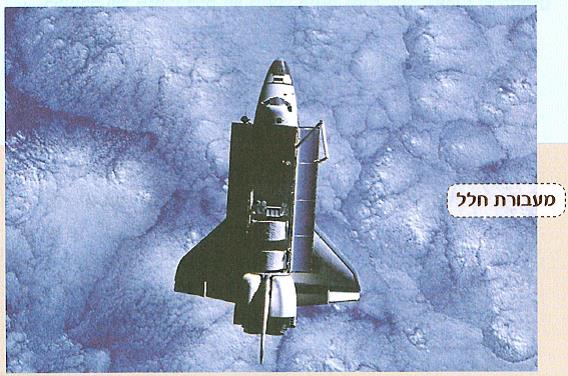 (בספר איור של נורה בתוך בית נורה)